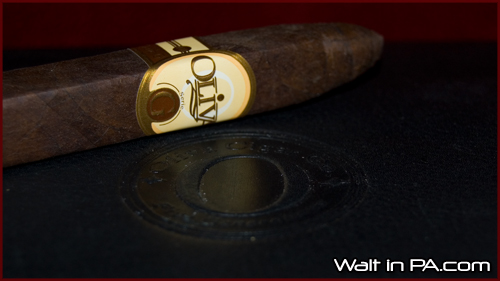 Cigar of the Week: Oliva Serie G Maduro - Belicoso